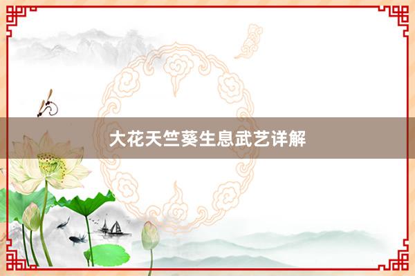 大花天竺葵生息武艺详解