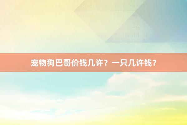 宠物狗巴哥价钱几许？一只几许钱？