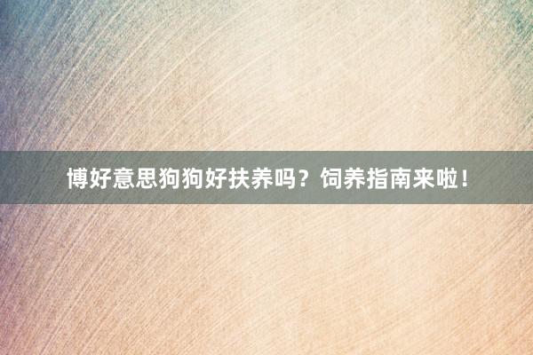 博好意思狗狗好扶养吗?饲养指南来啦!