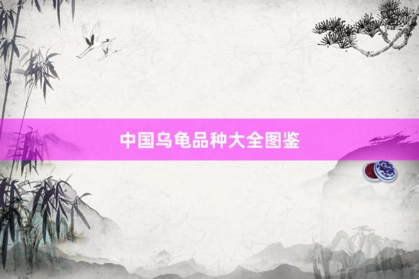 中国乌龟品种大全图鉴
