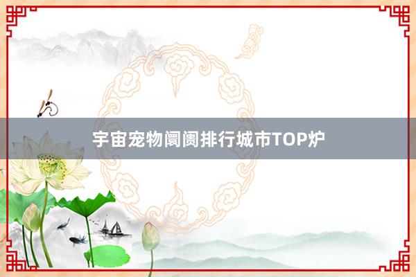 宇宙宠物阛阓排行城市TOP炉