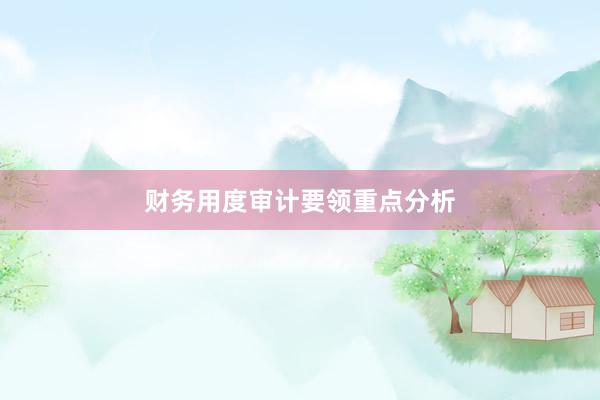 财务用度审计要领重点分析